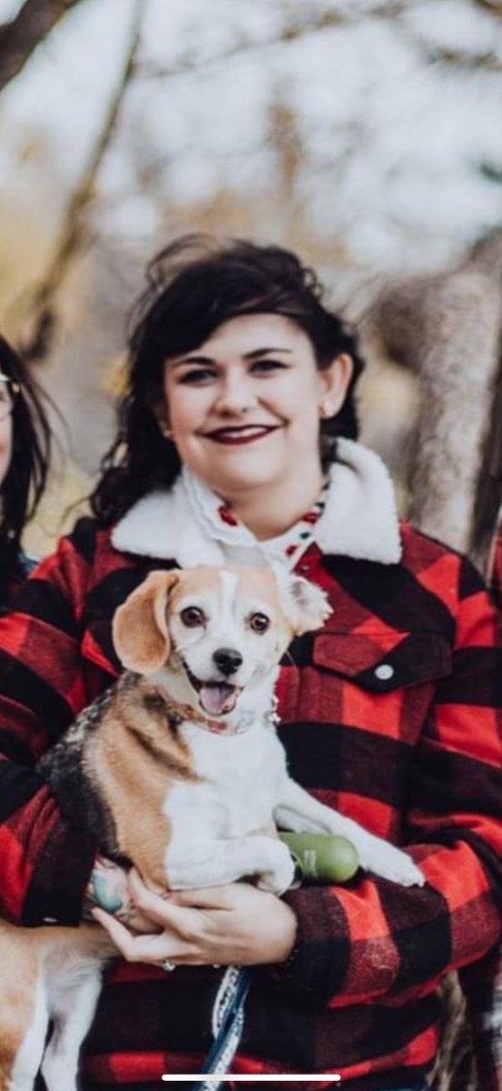 ✨Bunny✨ tweet media