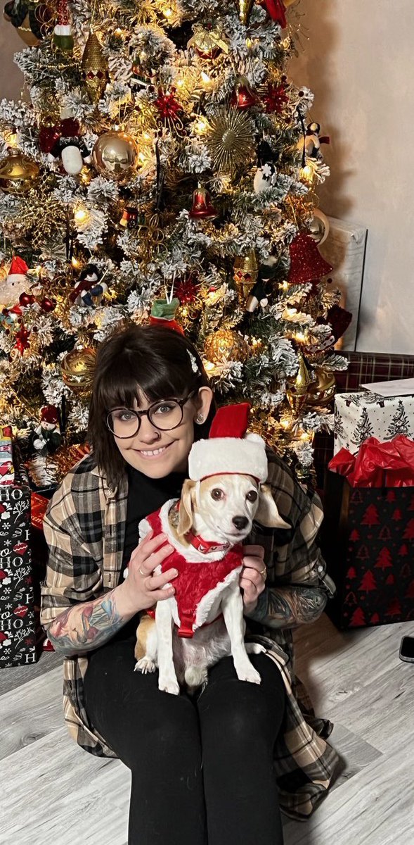 ✨Bunny✨ tweet media