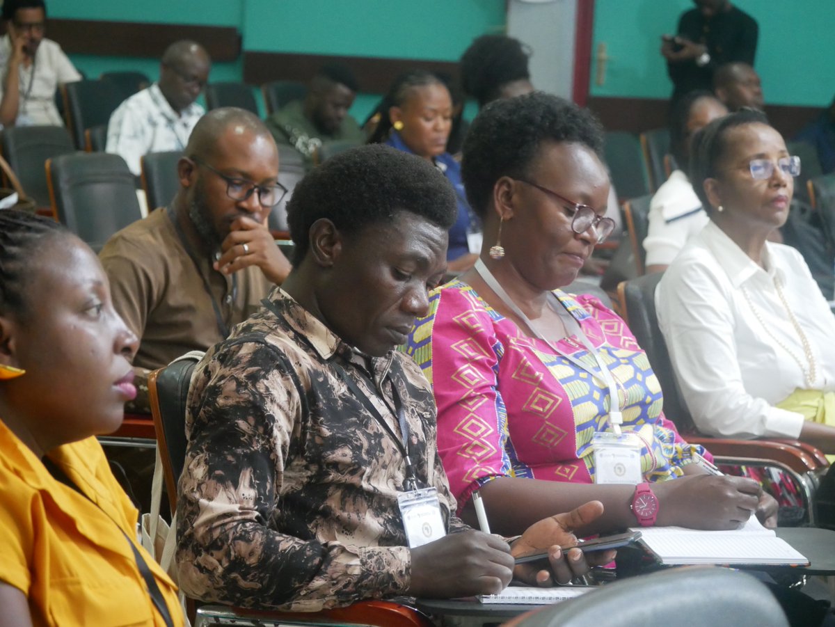 African Peacebuilding and Developmental Dynamics tweet media