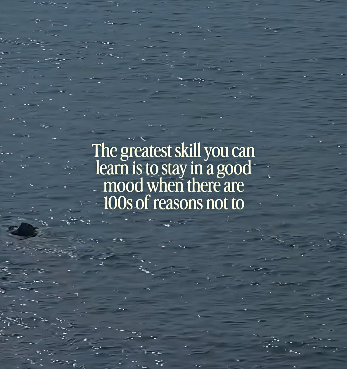 Mind_Essentials's tweet photo. https://t.co/YoKyPMPVZO