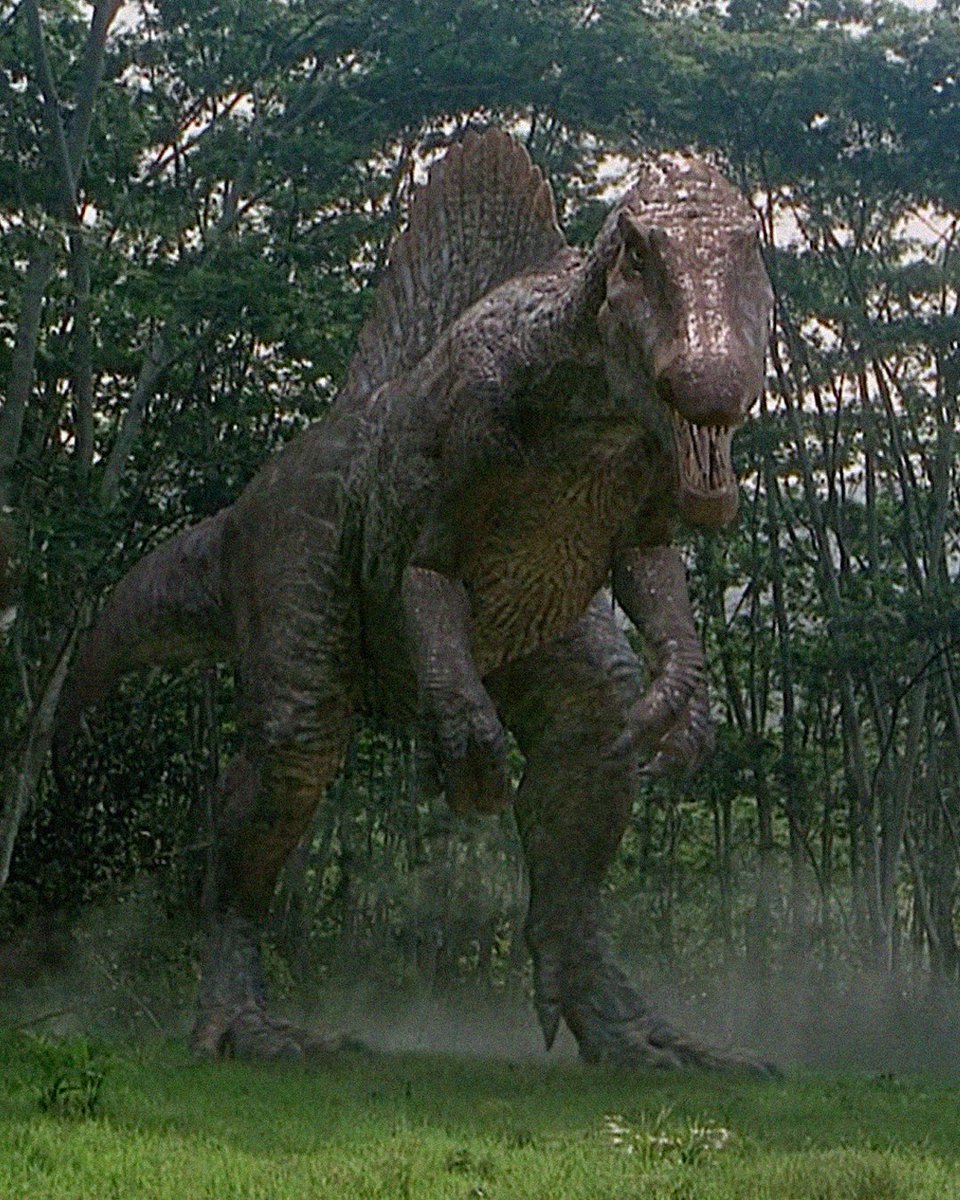 hearing they discovered a new Spinosaurus: