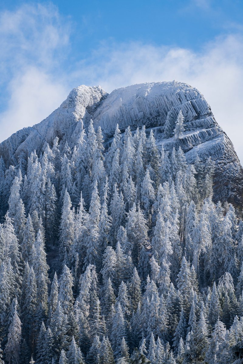 US Department of the Interior tweet media