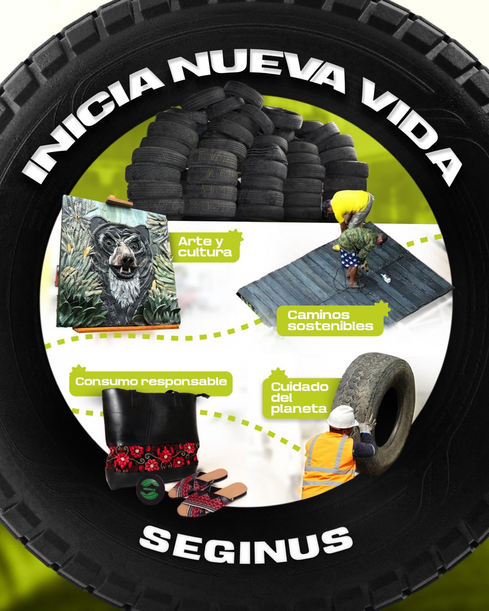 Seginus tweet media