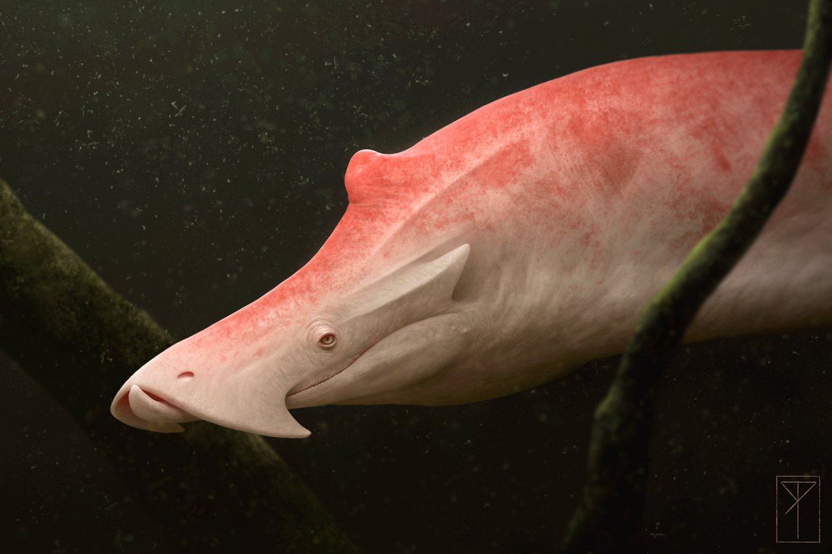 Roberto Ribeiro Padula tweet media