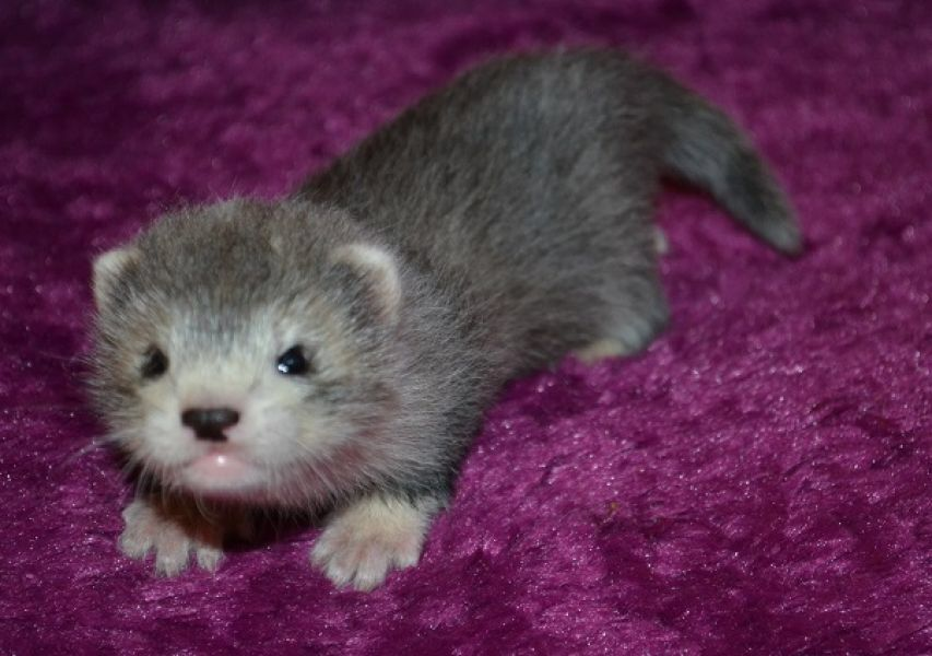 everyone is horrible , and mean . awful awful awful awful