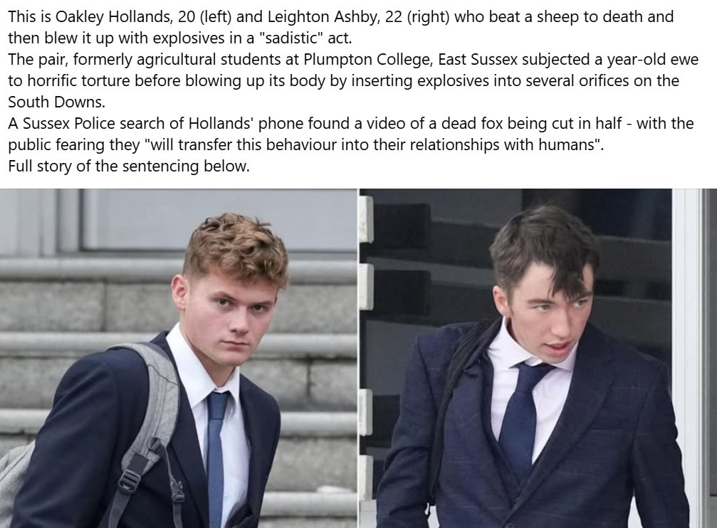 I have no idea what kind of agriculural student derives pleasure from chasing a ewe, swinging it around, kicking, punching and smashing its head, and then inserting fireworks into it to blow it up. Leighton Ashby and Oakley Hollands are monsters.
theargus.co.uk/news/25878444.…