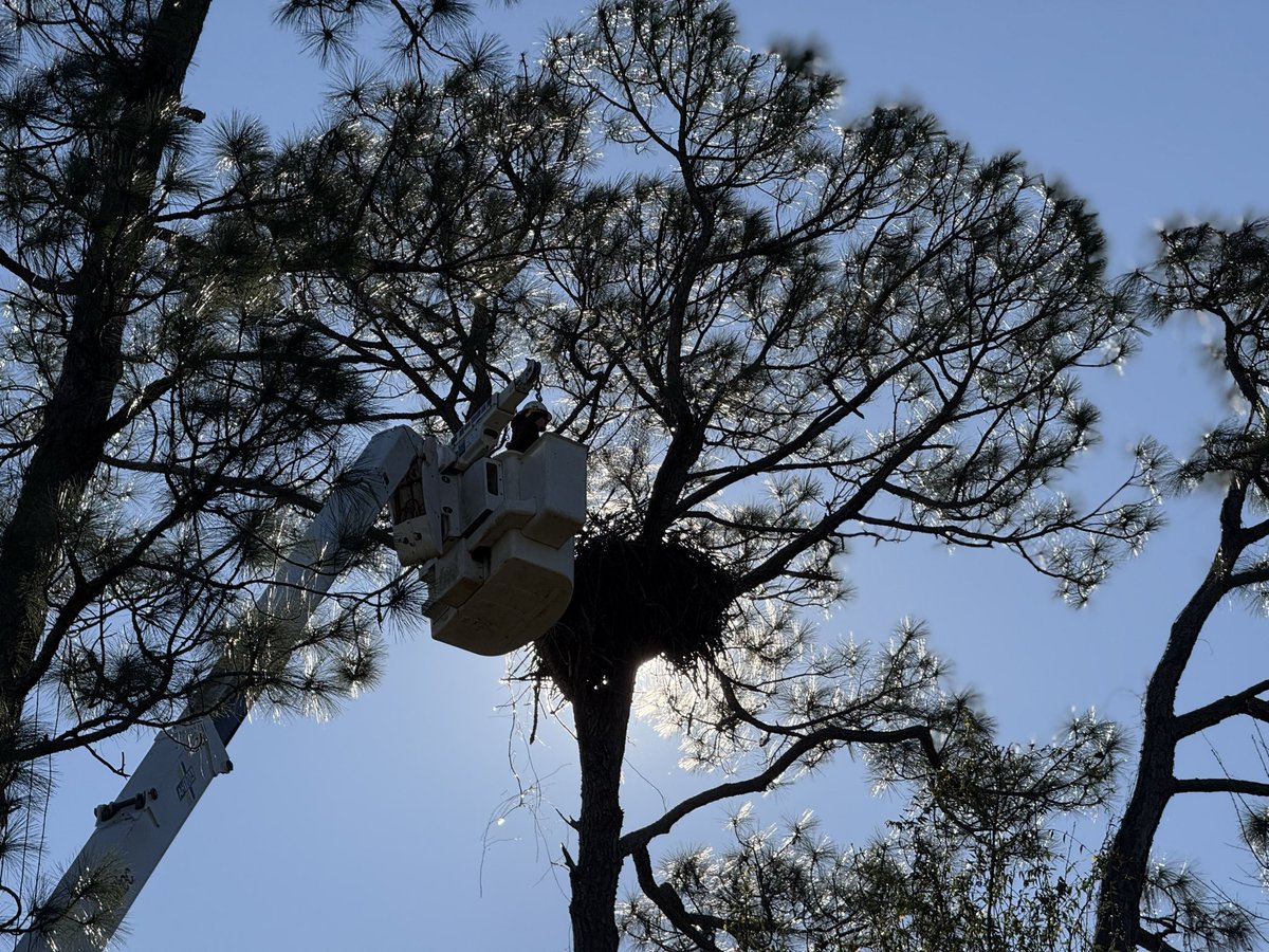 Mississippi Power tweet media