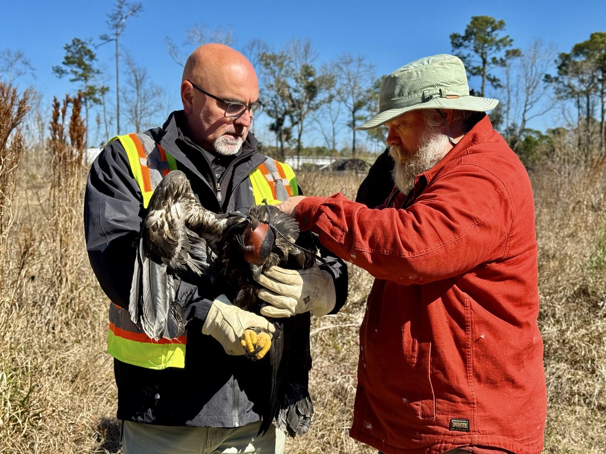 Mississippi Power tweet media