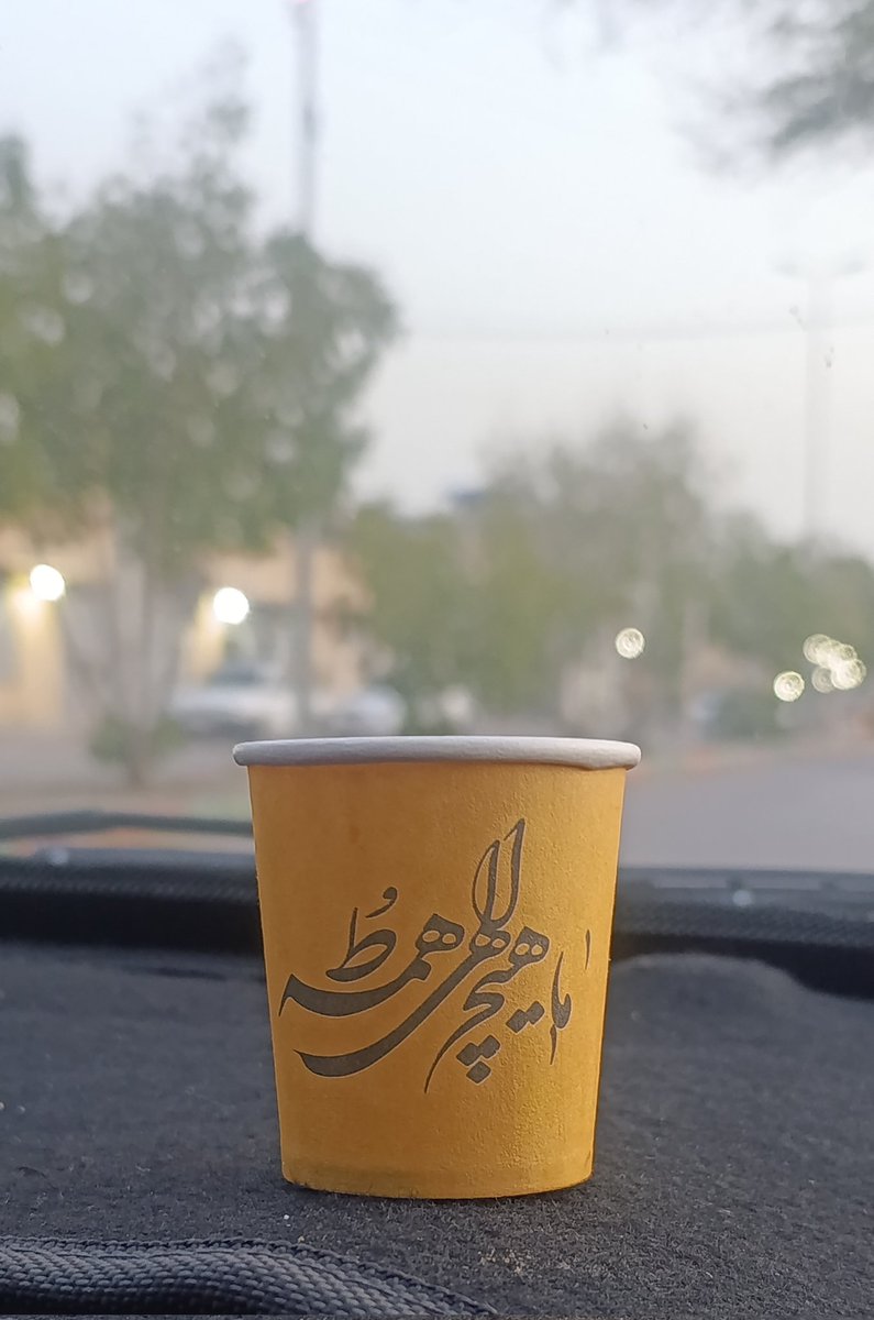 عکاس بندری tweet media