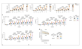 SLAMF6 as a drug-targetable suppressor of T cell immunity against
