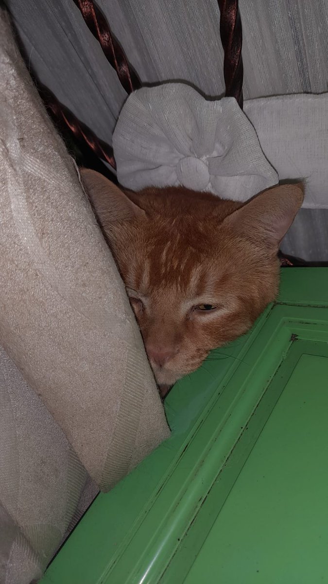 Aku puasanya titip dlu ajaa mbaa