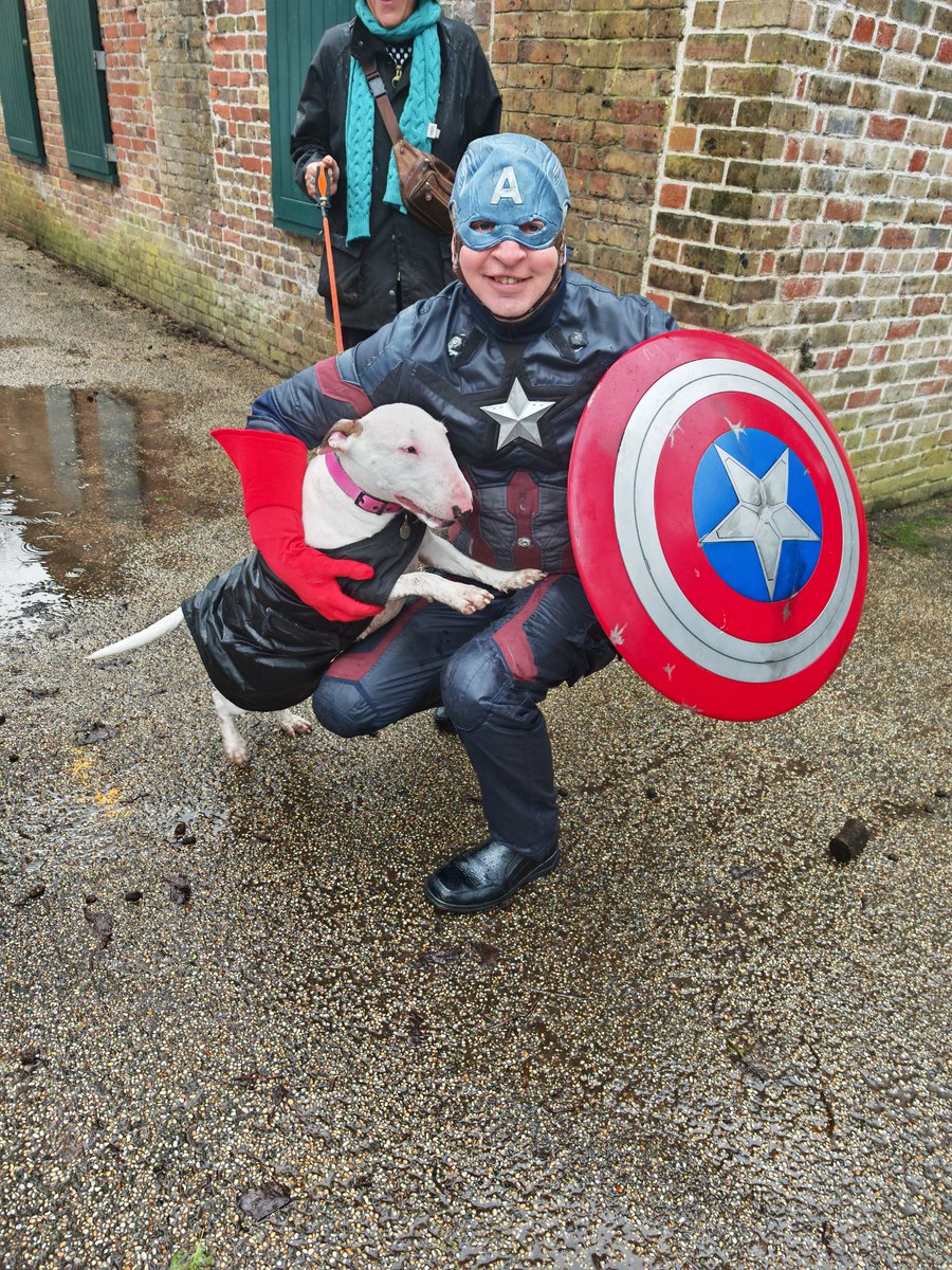 alvinsimonds's tweet photo. Captain America went on a dog 🐕 walk with kash and the bullie foundation 😊🐕👍 https://t.co/Uki5aCijTu