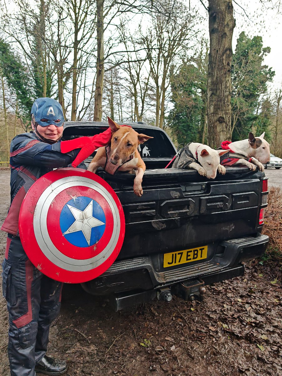 alvinsimonds's tweet photo. Captain America went on a dog 🐕 walk with kash and the bullie foundation 😊🐕👍 https://t.co/Uki5aCijTu