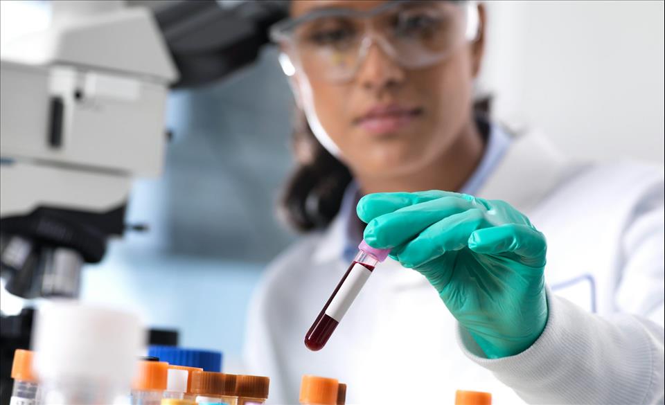 MENAFN's tweet image. Can Blood Tests Really Detect Cancer? #Blood #Tests #Really #Detect #Cancer? #Vaccines #Pills #Doctor #Hospital #Pandemic dlvr.it/TR6yMR