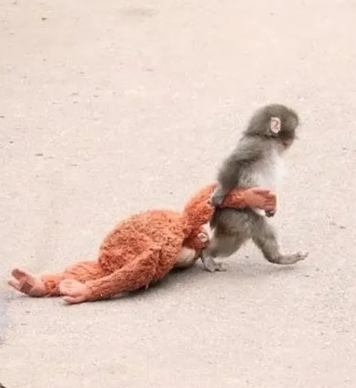 魔糞ズバ tweet media