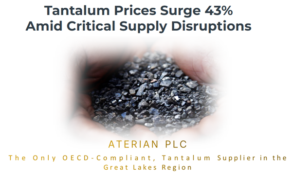 Serial Investor tweet media