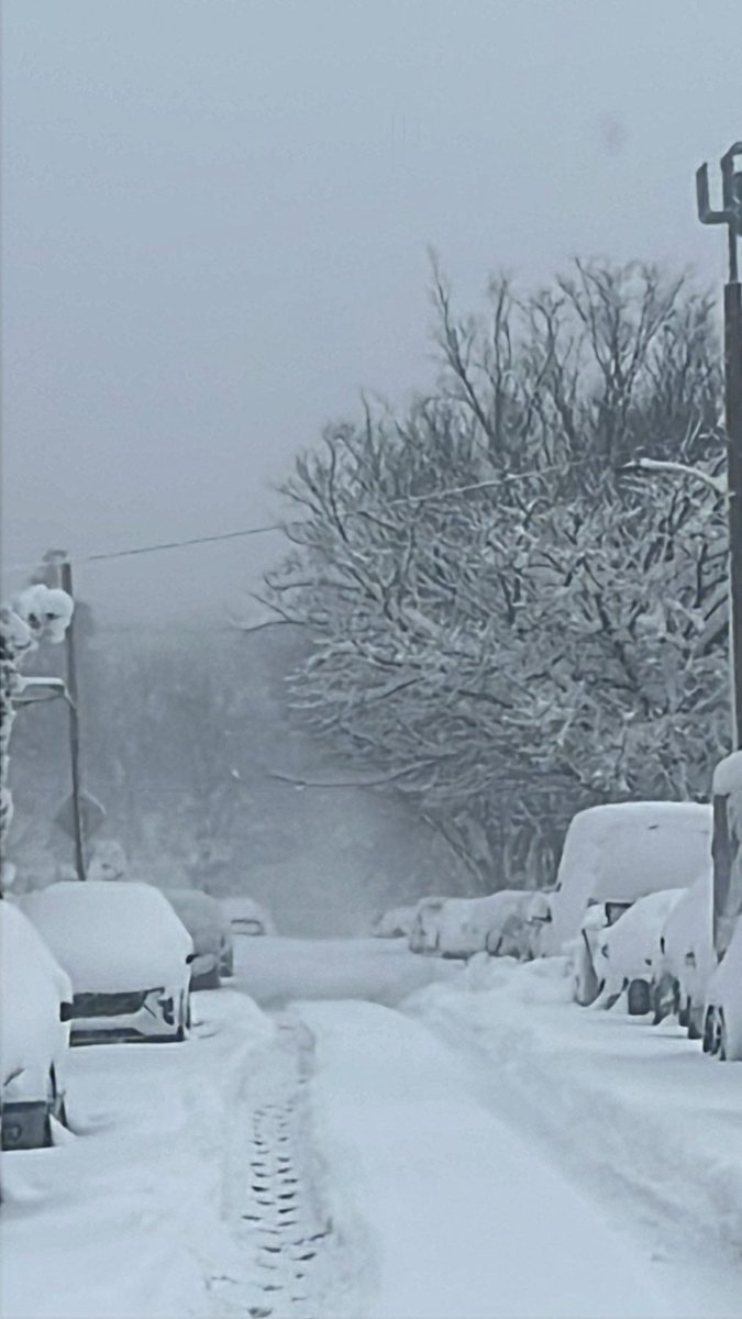 (S)aleem (J)ackson tweet media