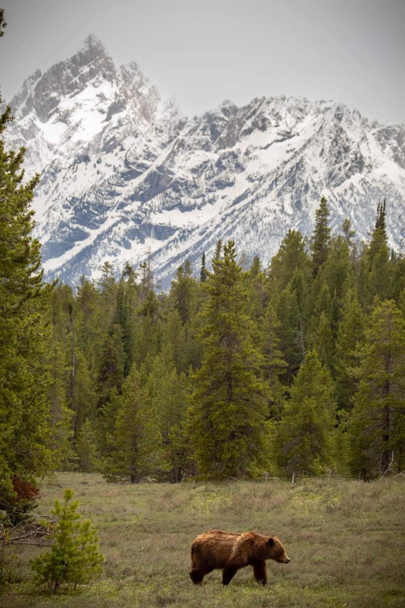 ACC_National's tweet photo. Your national parks were hard won. 

Pay them a visit. https://t.co/I2r8jfEj1Y