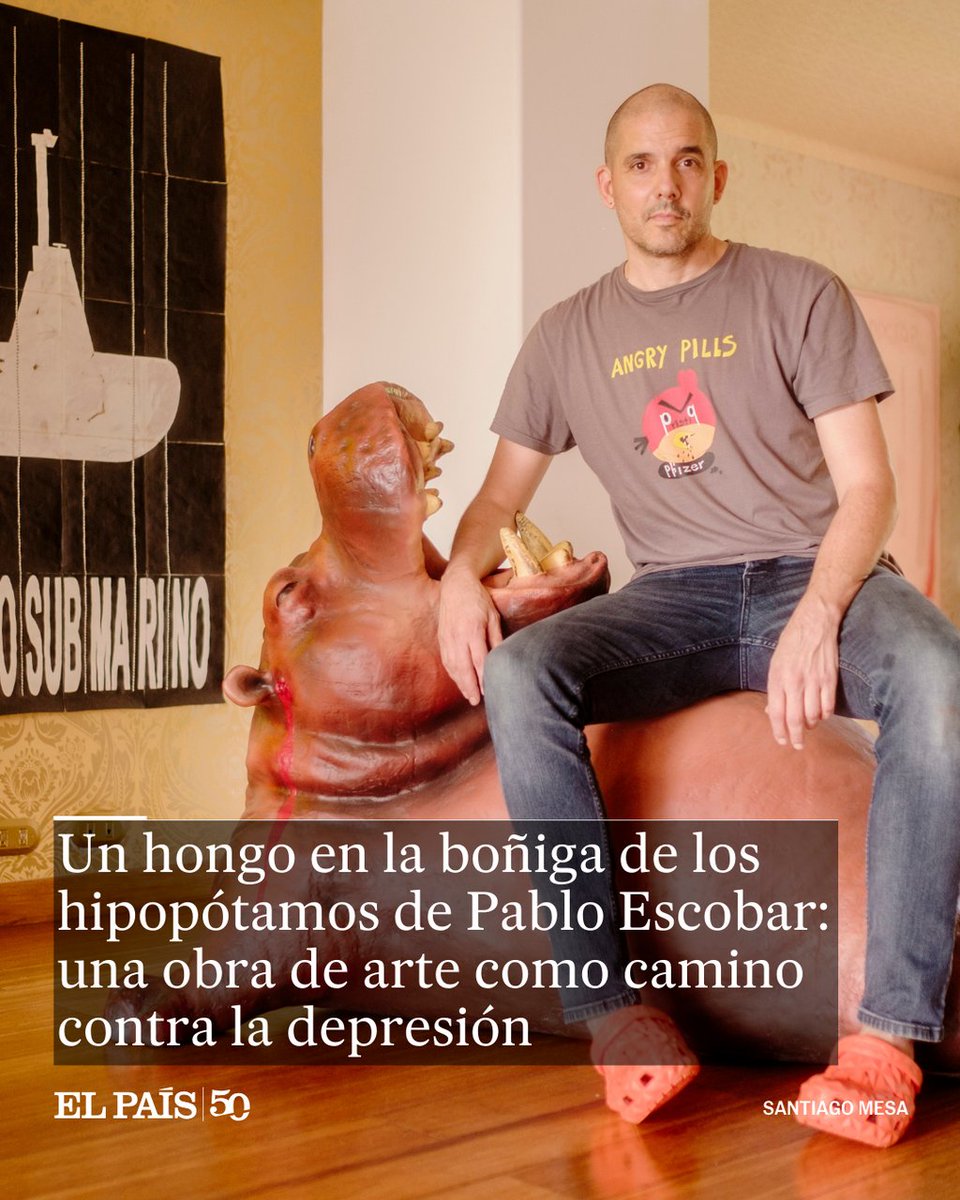 EL PAÍS América tweet media