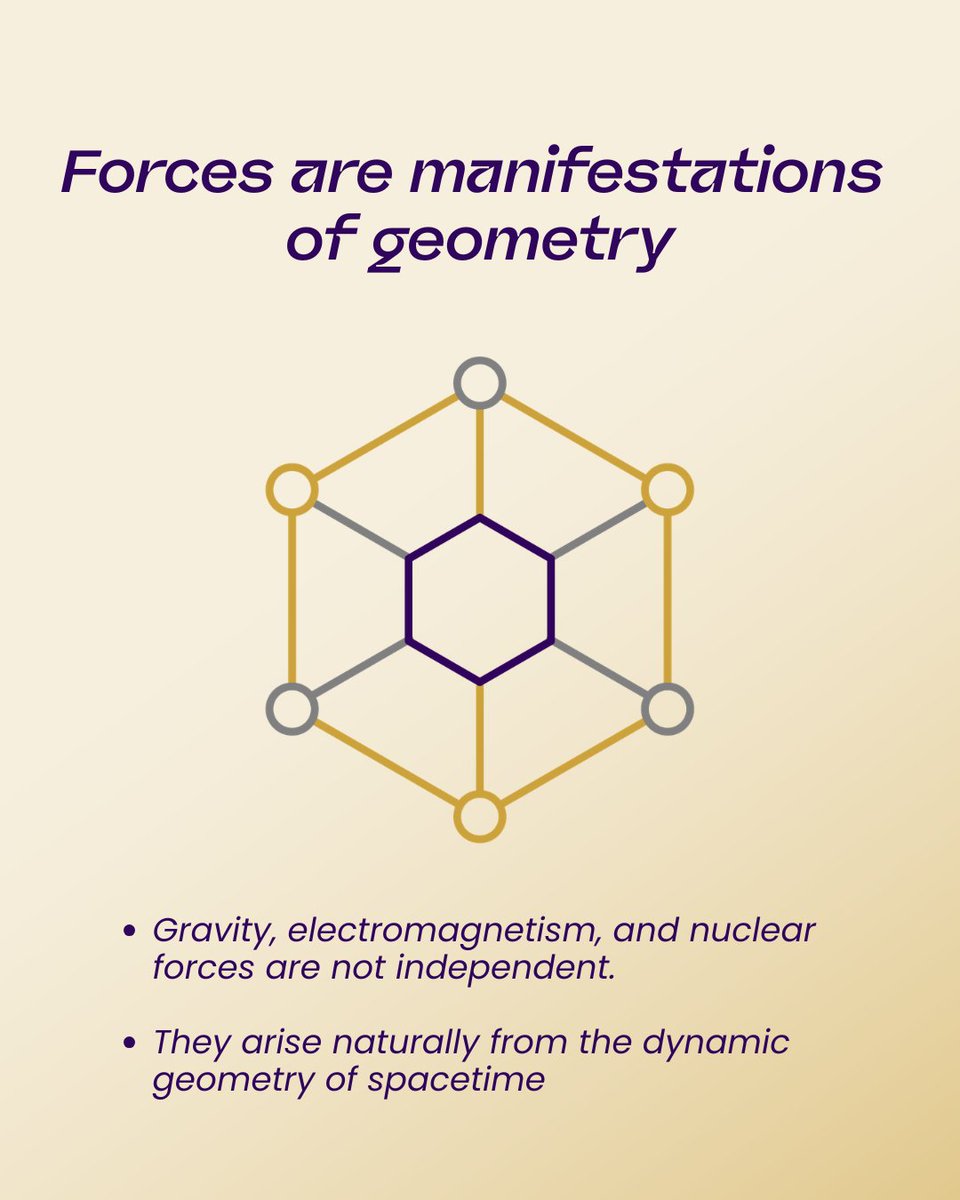 Nassim Haramein tweet media