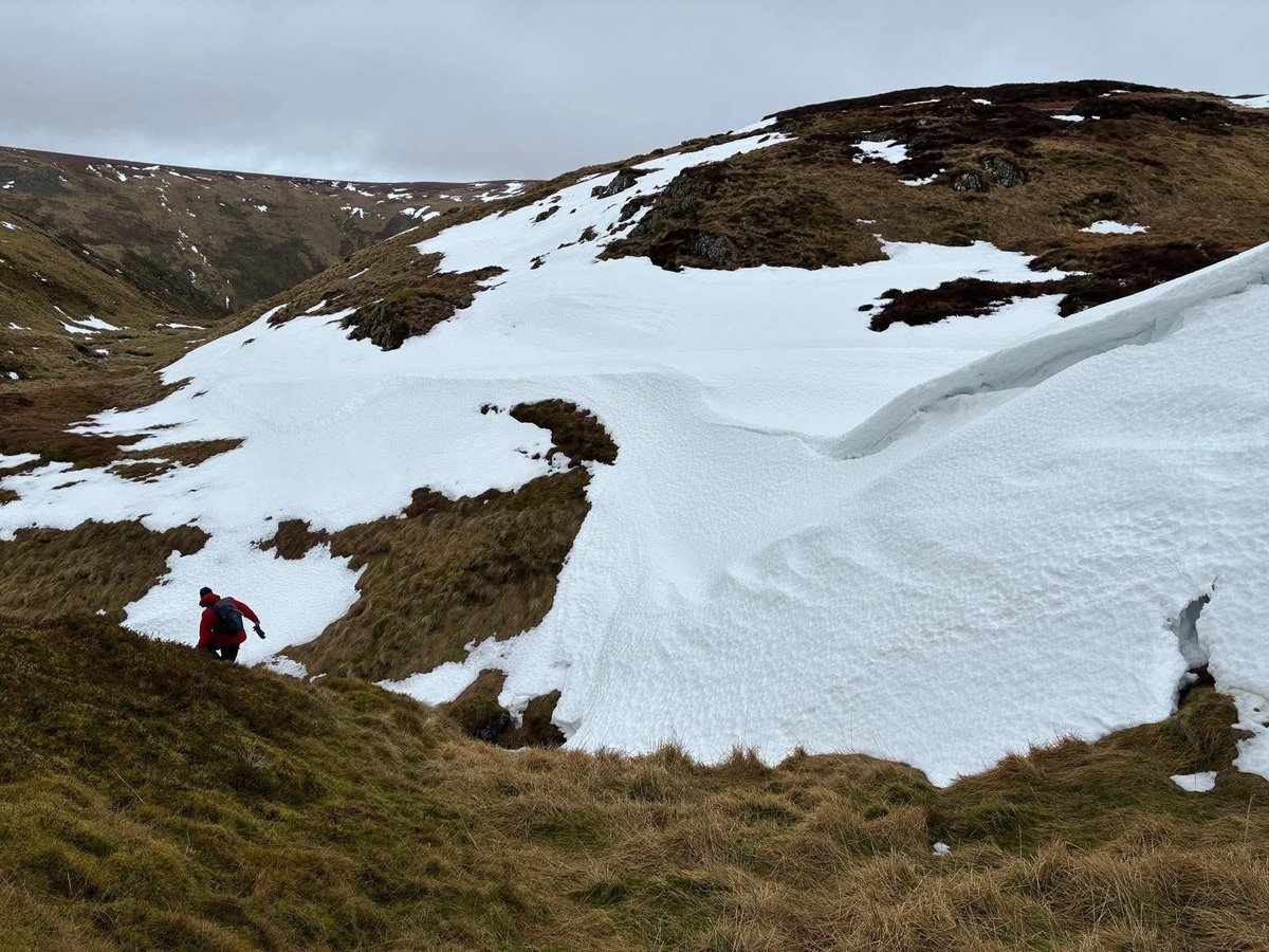 Iain Cameron tweet media