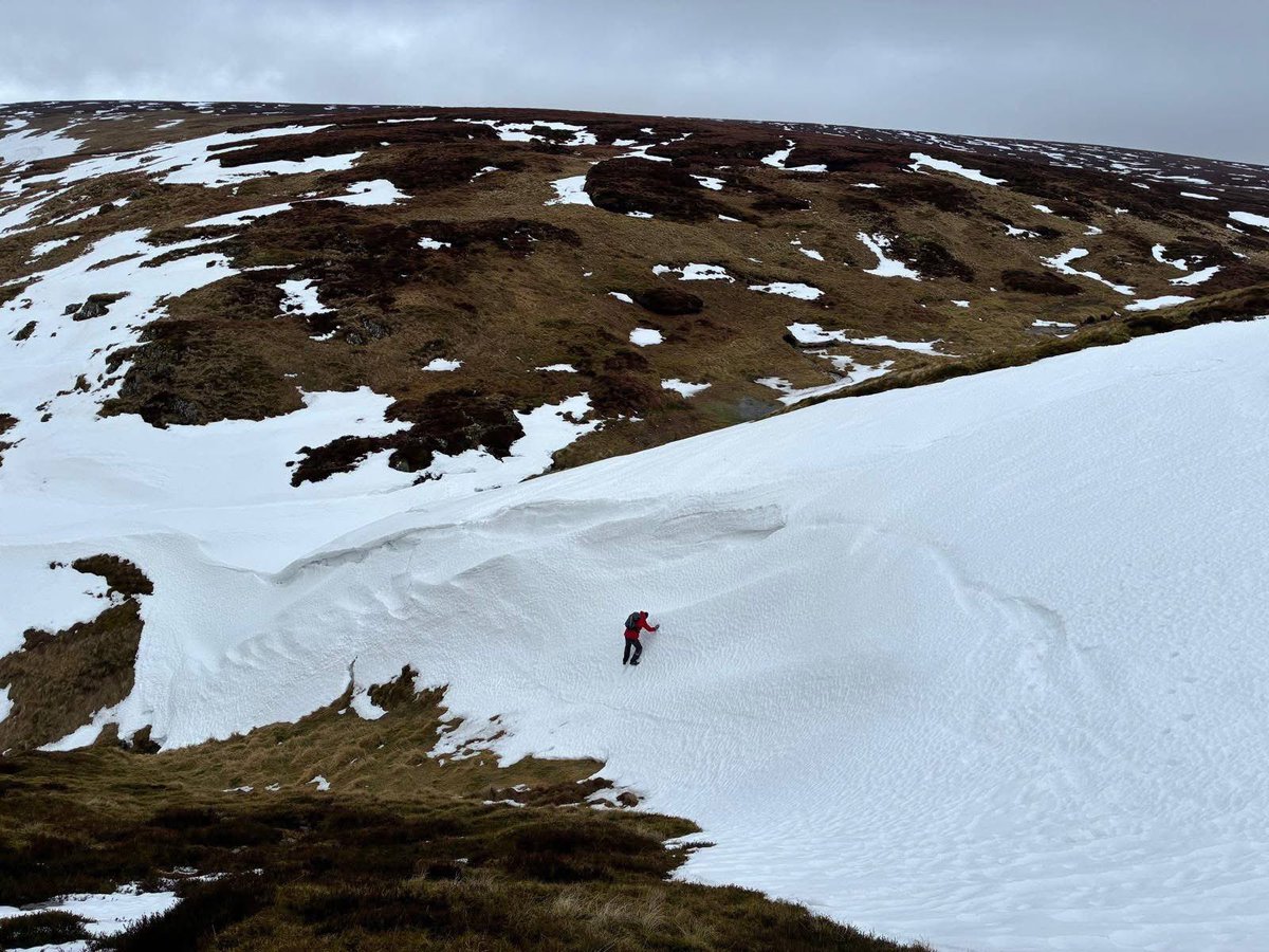 Iain Cameron tweet media