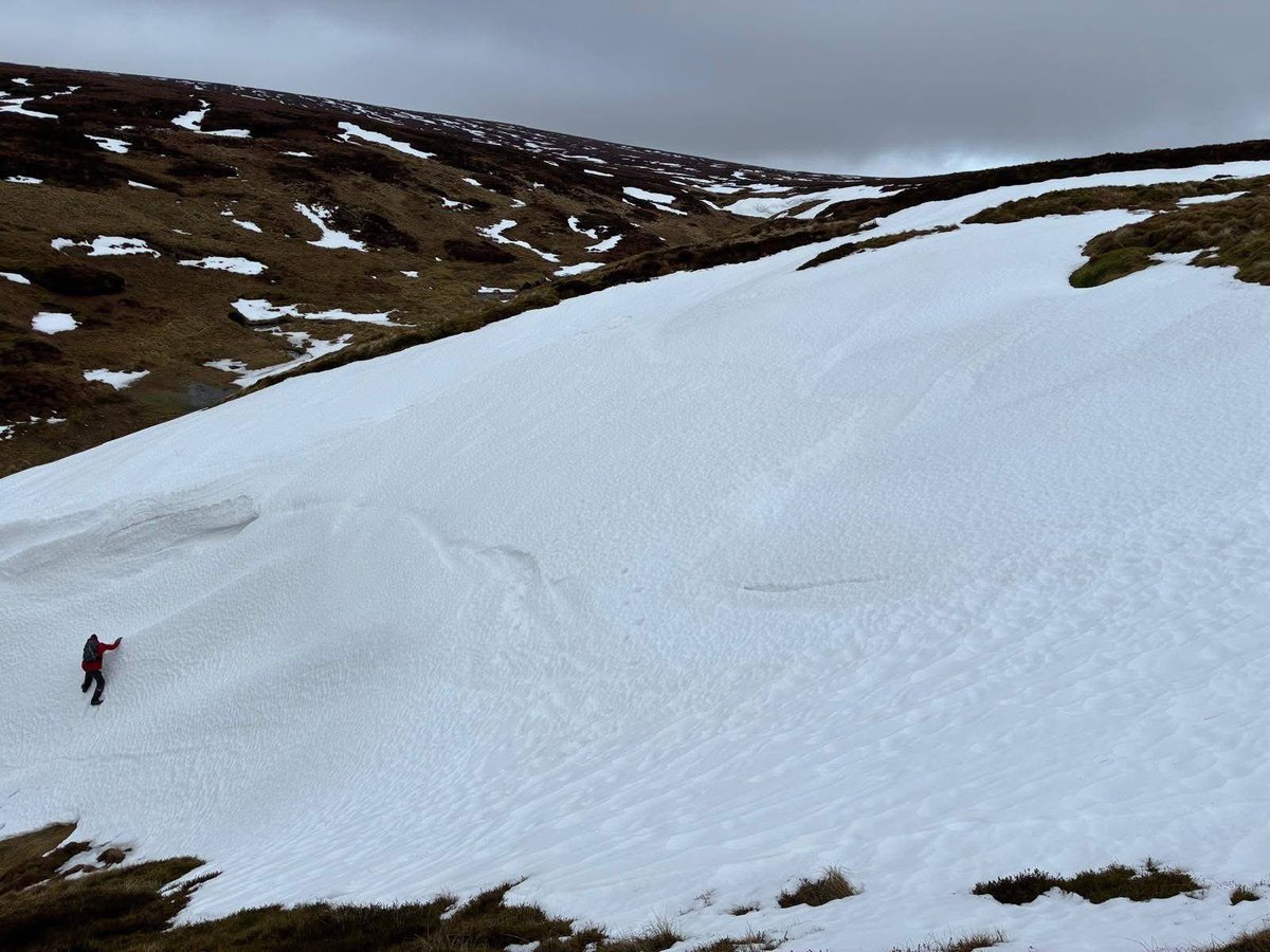 Iain Cameron tweet media