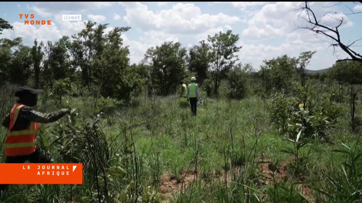 Image for the Tweet beginning: En RD Congo, le cobalt