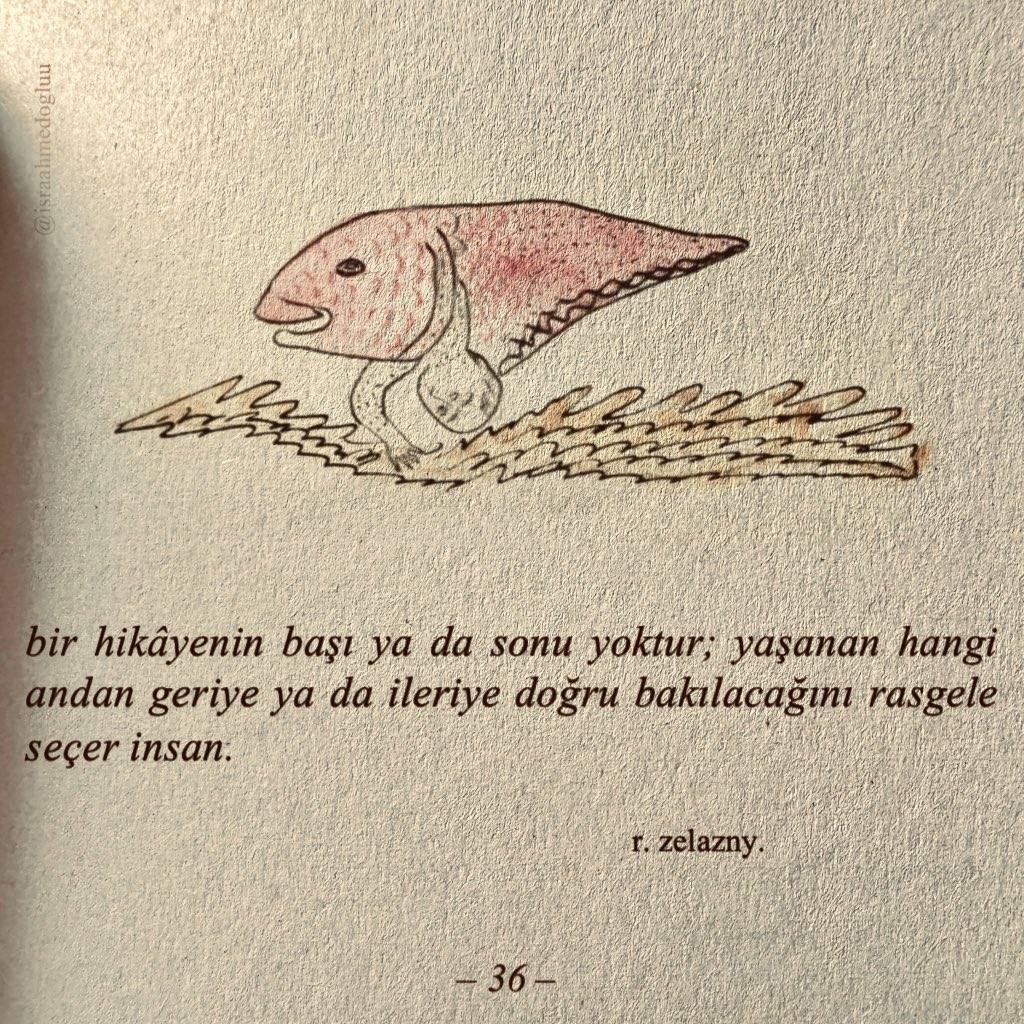 isrâ ahmedoğlu. (@israahmedogluu) on Twitter photo 