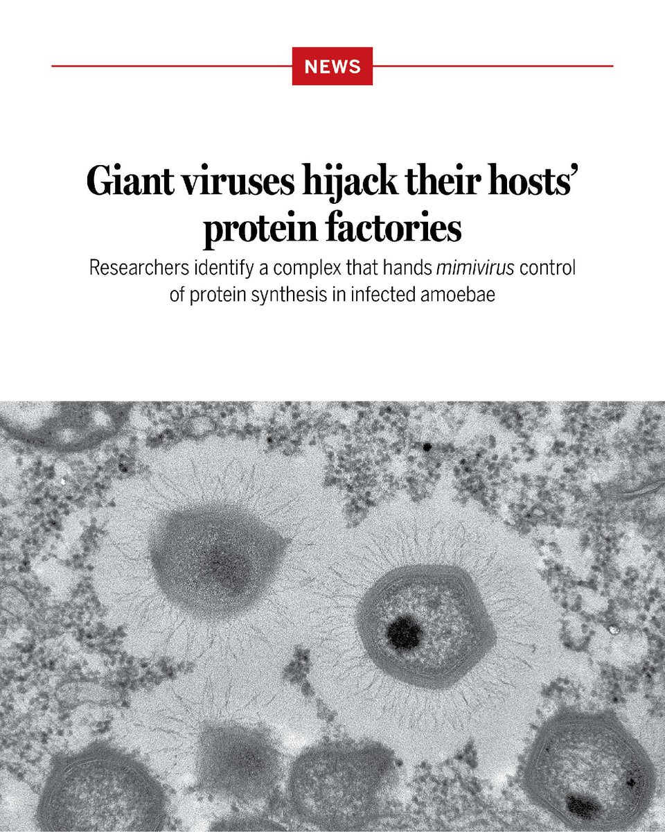 Science Magazine tweet media