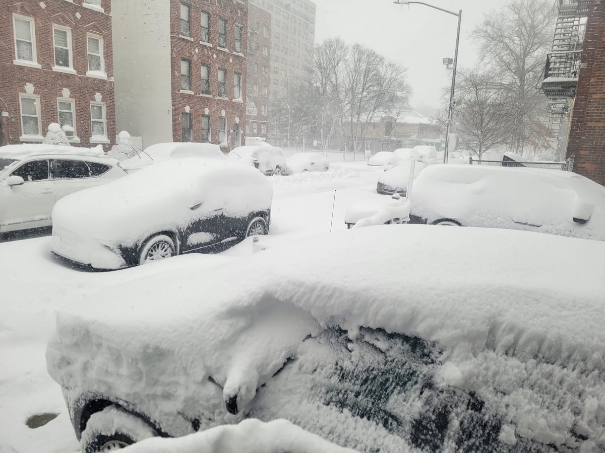 Snow in Midwood, Brooklyn this morning! 📸: <a href="/MikeyMetfan31/">Mikey Metfan</a>