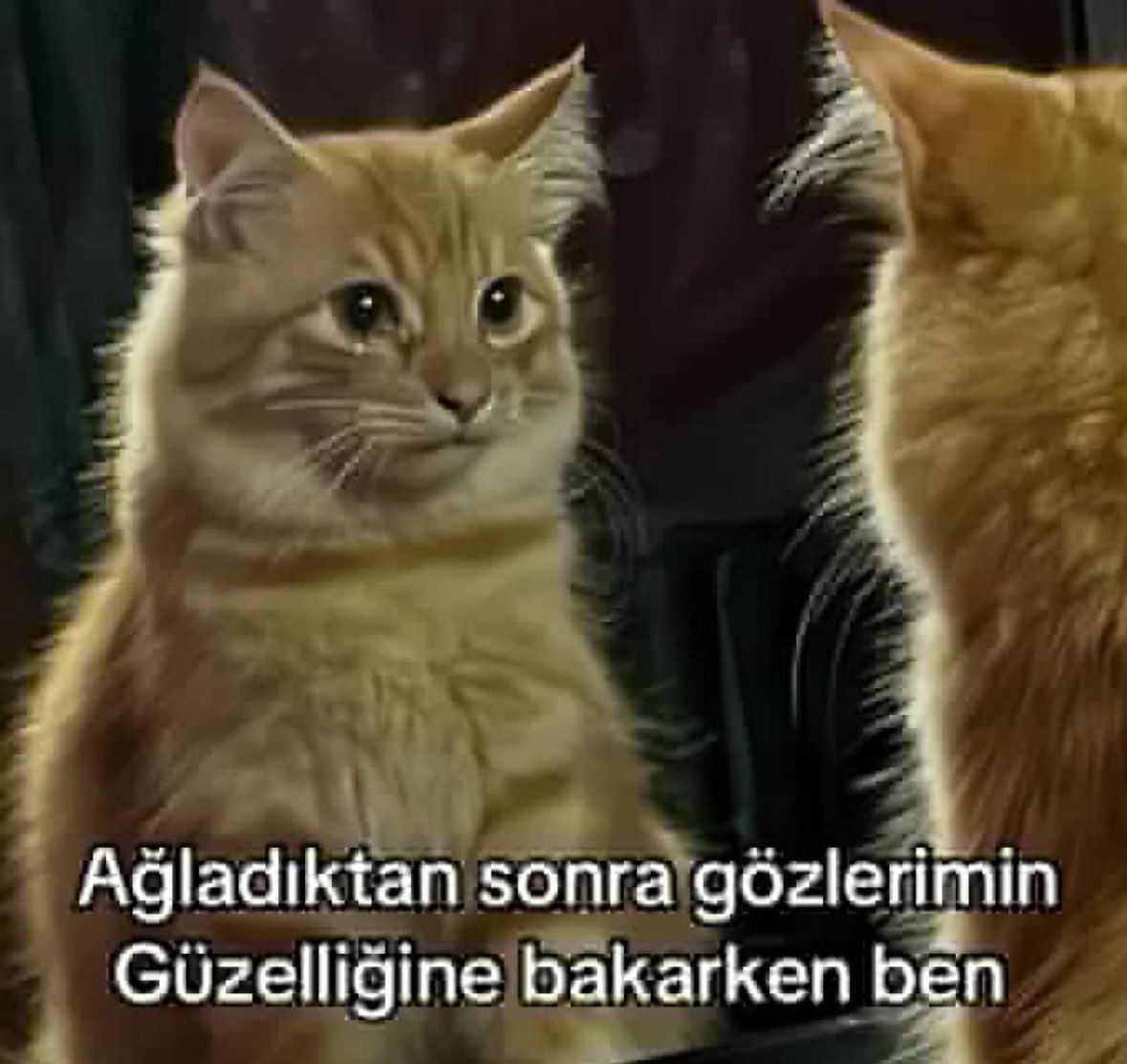 furkan (@furkannonaall) on Twitter photo 