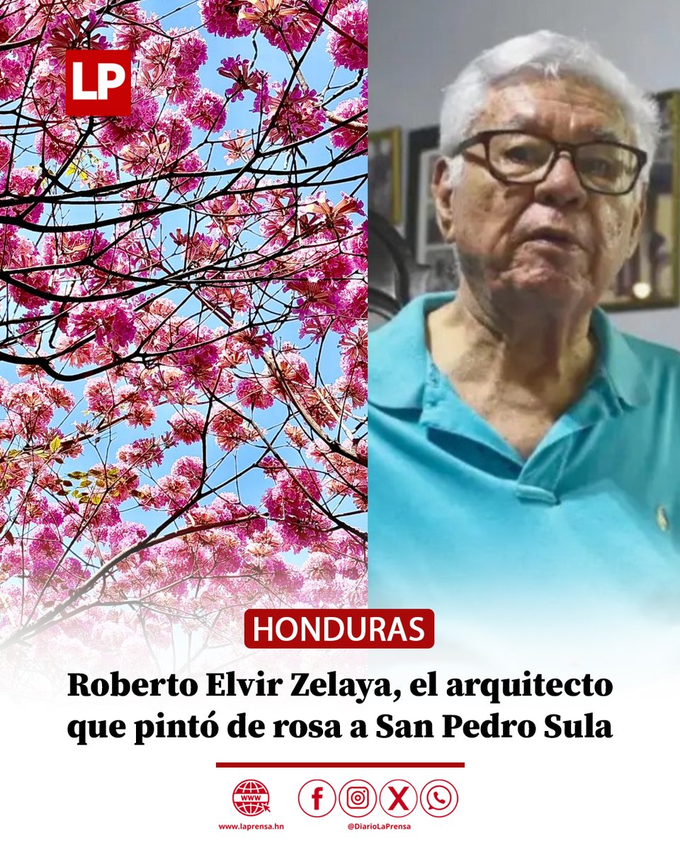 😍🌸Entrevista a Roberto Elvir Zelaya, impulsor de la arborización que llenó de macuelizos las calles de San Pedro Sula. laprensa.hn/sociales/rober…