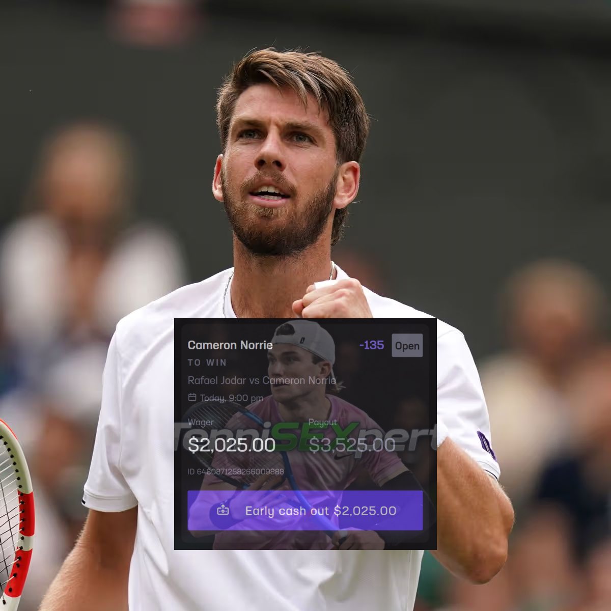 TenniSEXpert (.)(.) tweet media