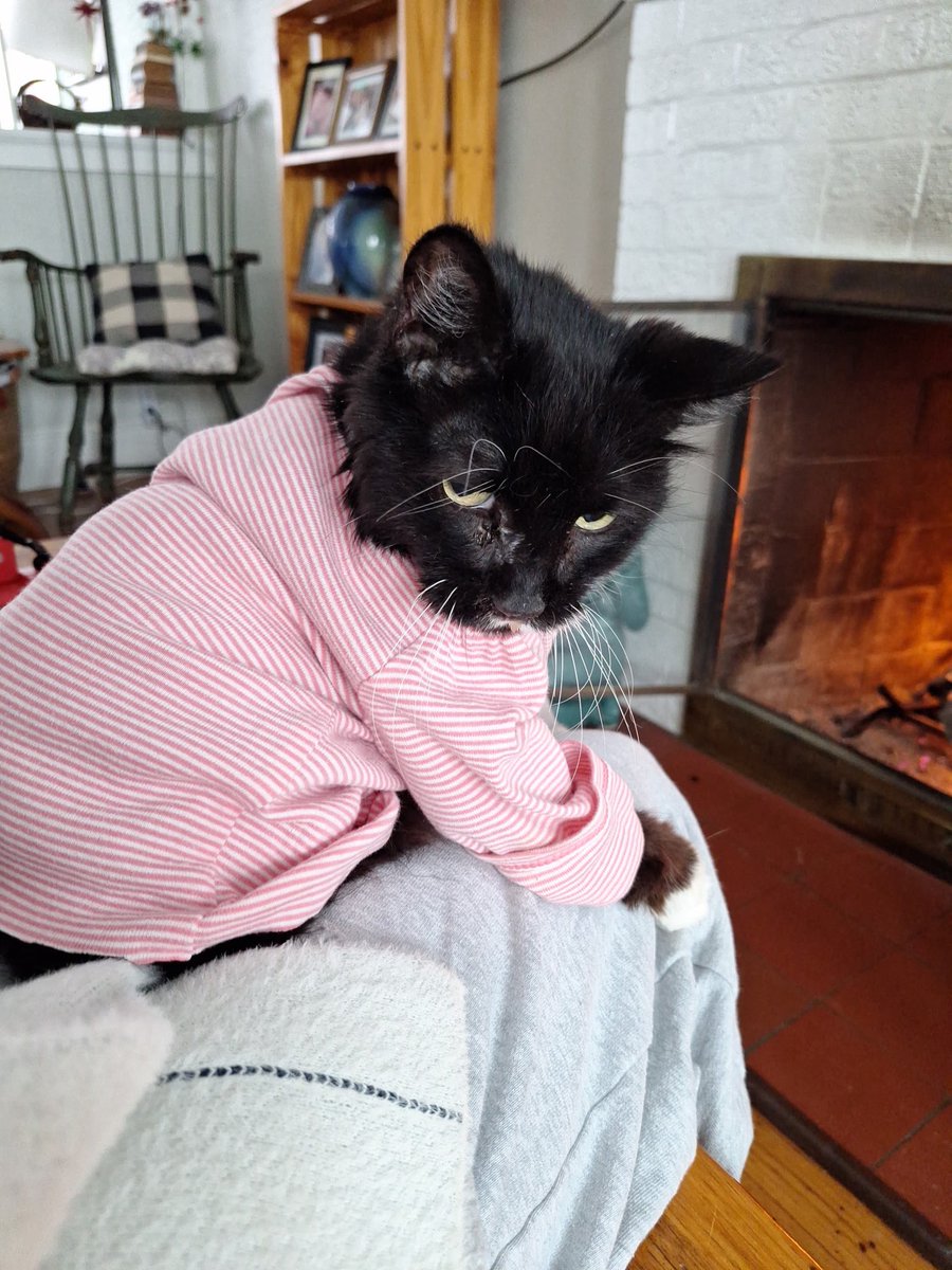 chiefkeephh's tweet photo. She must stay warm https://t.co/eTU8zd0Fj6