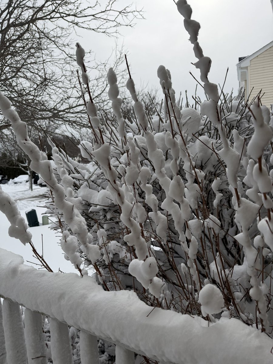 Rose Horowitz, #WomenToFollow💃🏼 tweet media