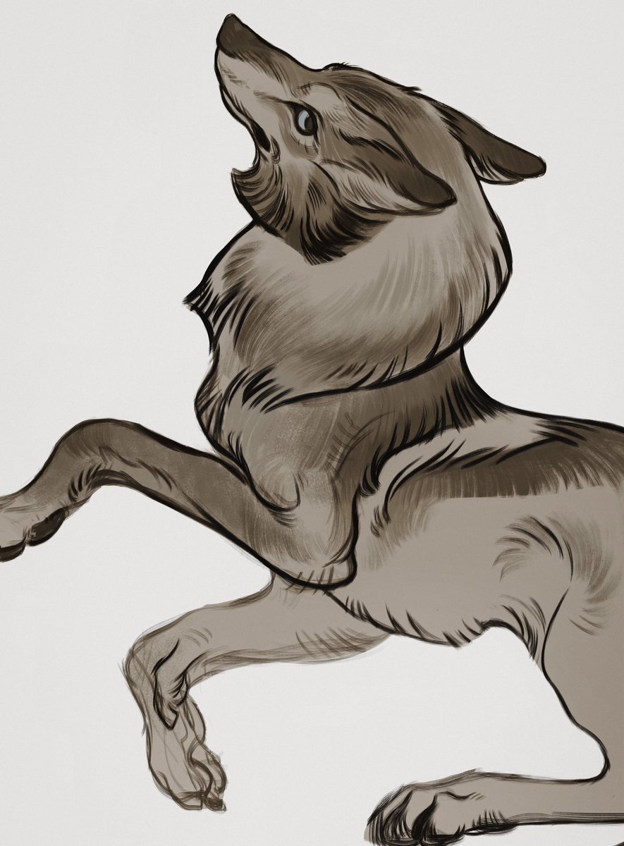 🌙✨🐺 
#wolf #artwork