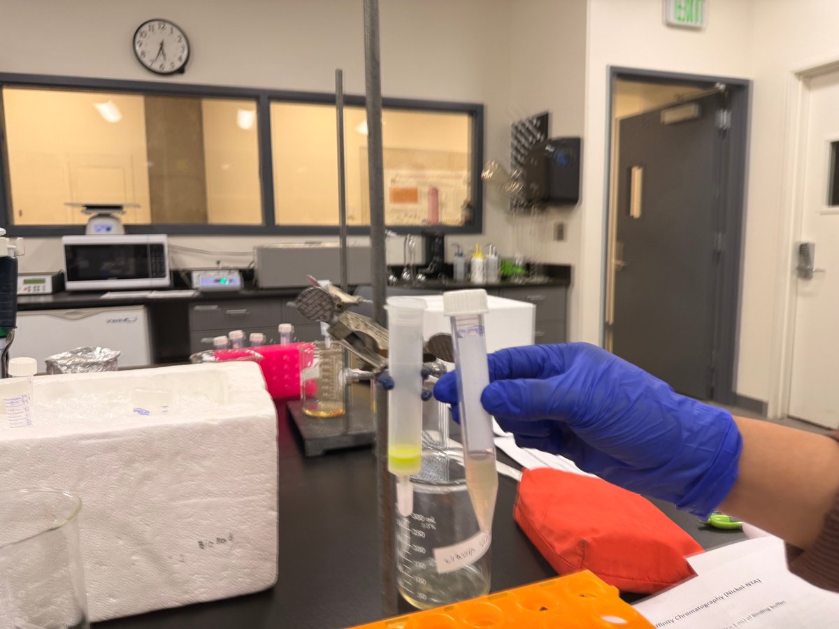 BioFGreat tweet media