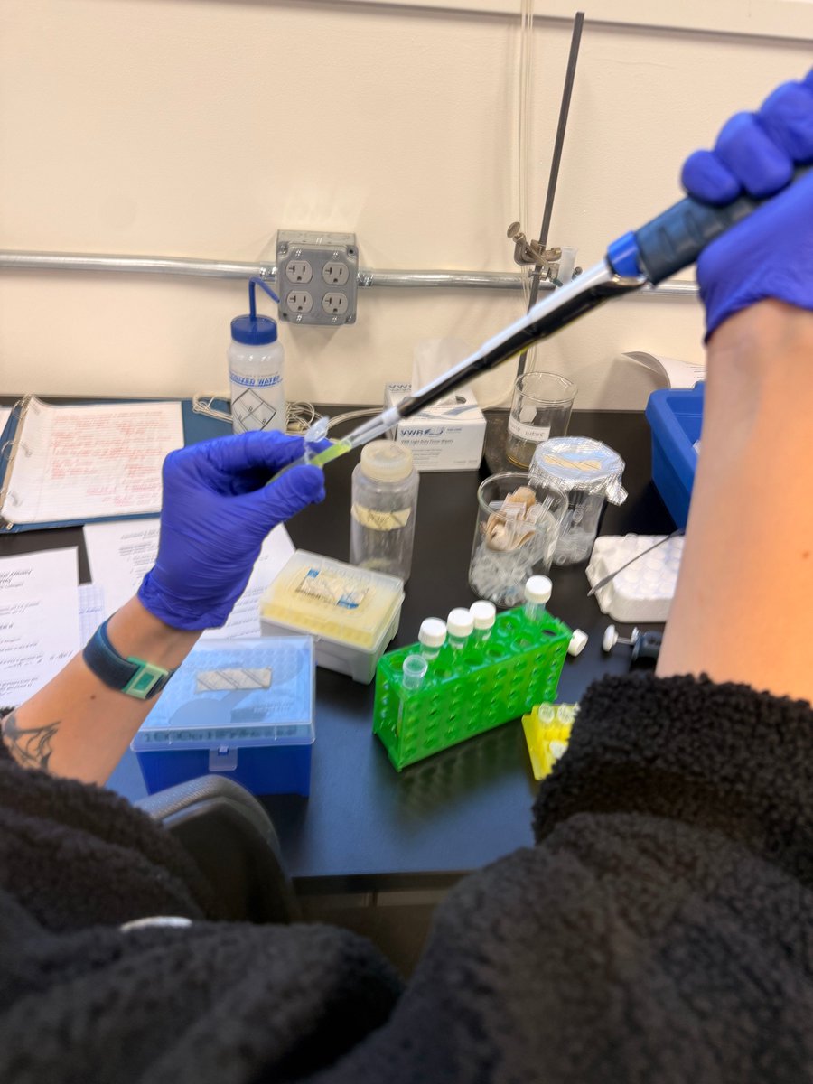 BioFGreat tweet media