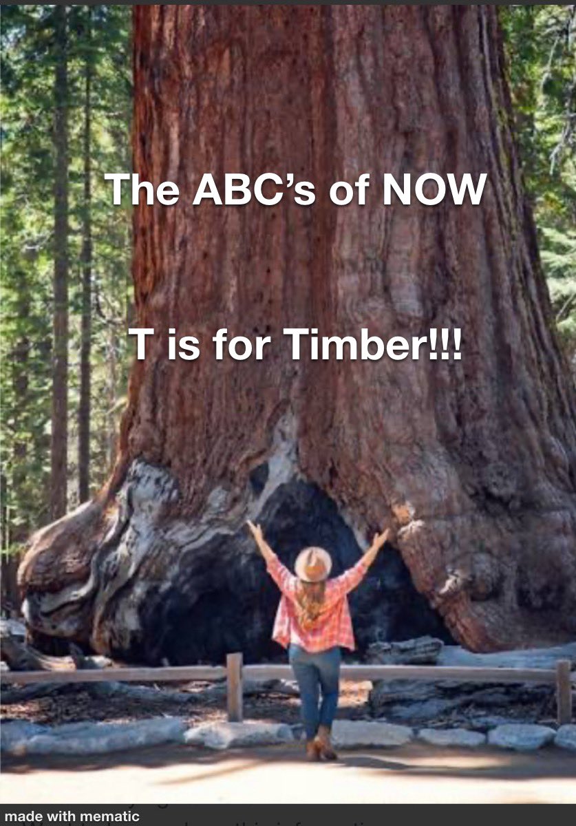 Where are we on the timeline of NOW?  

Listen and be prepared to find peace inwardly as so much happens outwardly. 

open.spotify.com/episode/1duRGk…