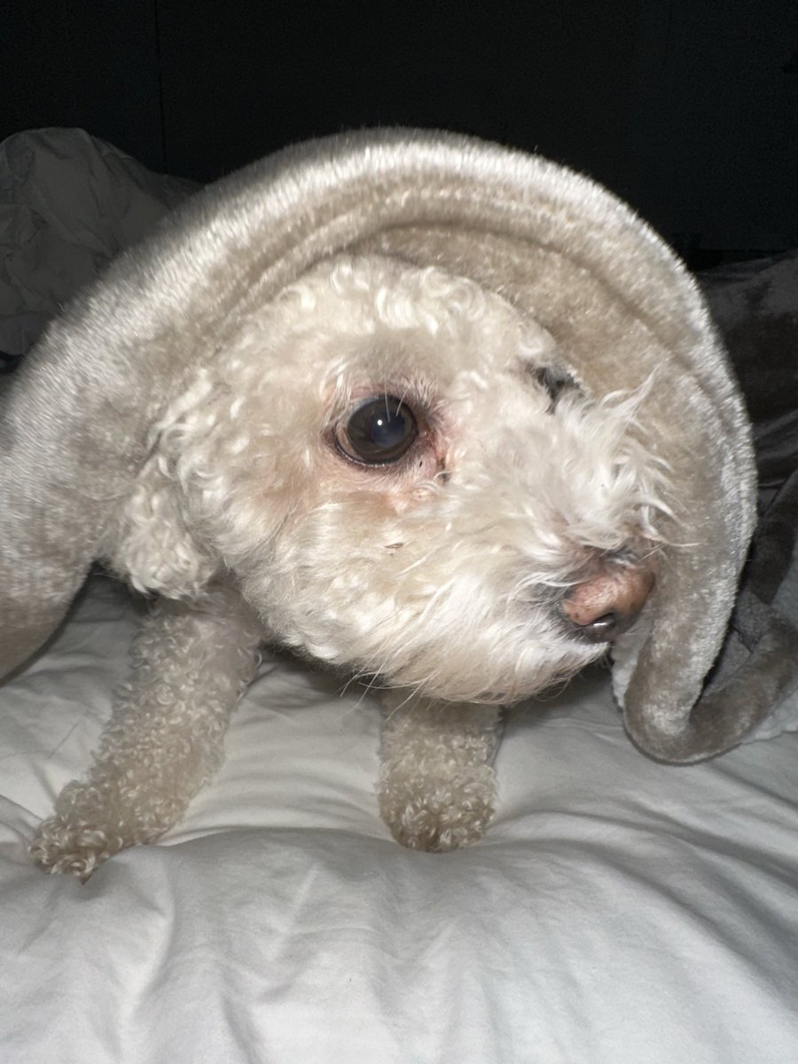 When you dead asleep at the sleep over but da crew start mention somethin bout Taco Bell?