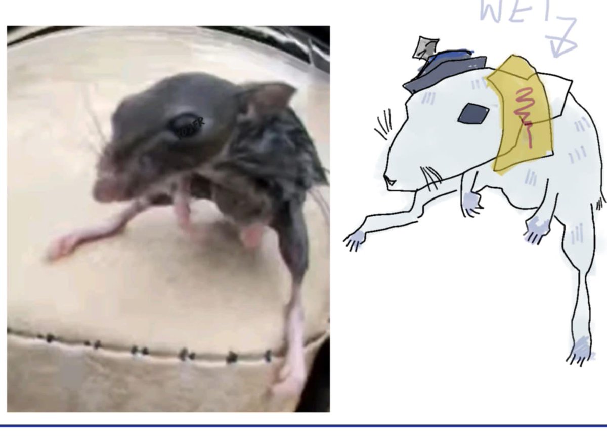 Bibi Boo debut 2026 tweet media