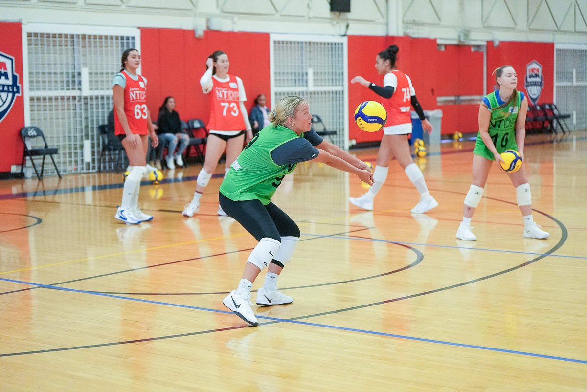 Gators Volleyball tweet media