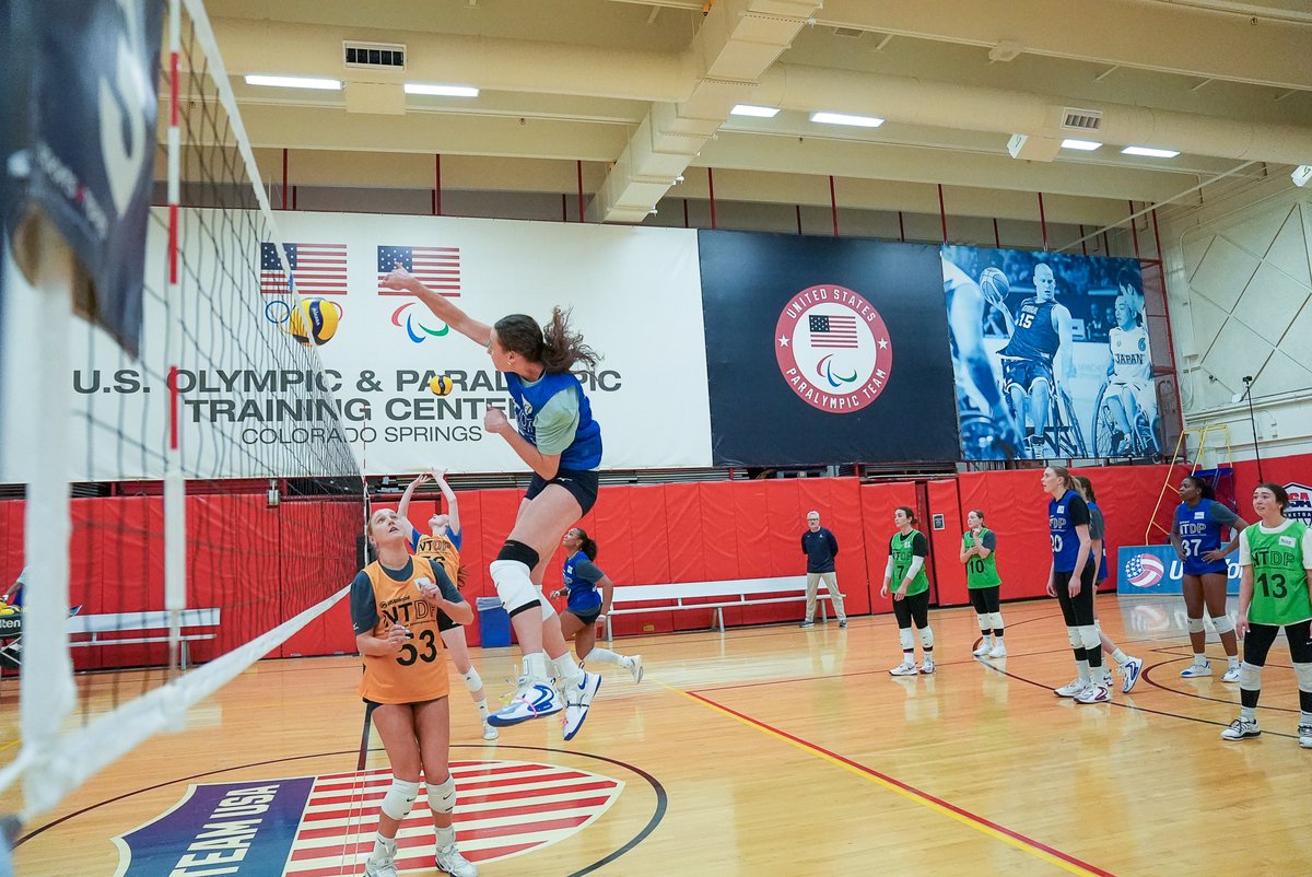 Gators Volleyball tweet media