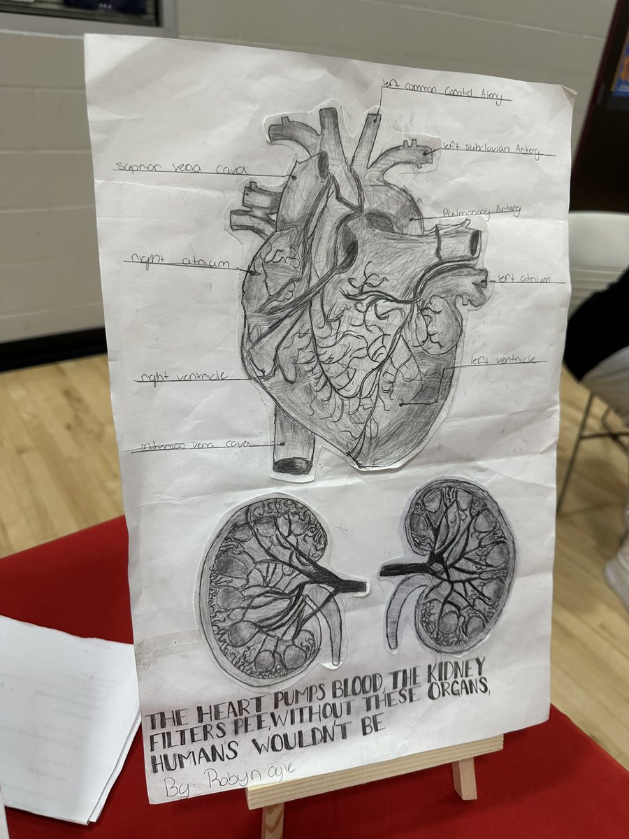 Sayed Tabatabai, M.D. tweet media