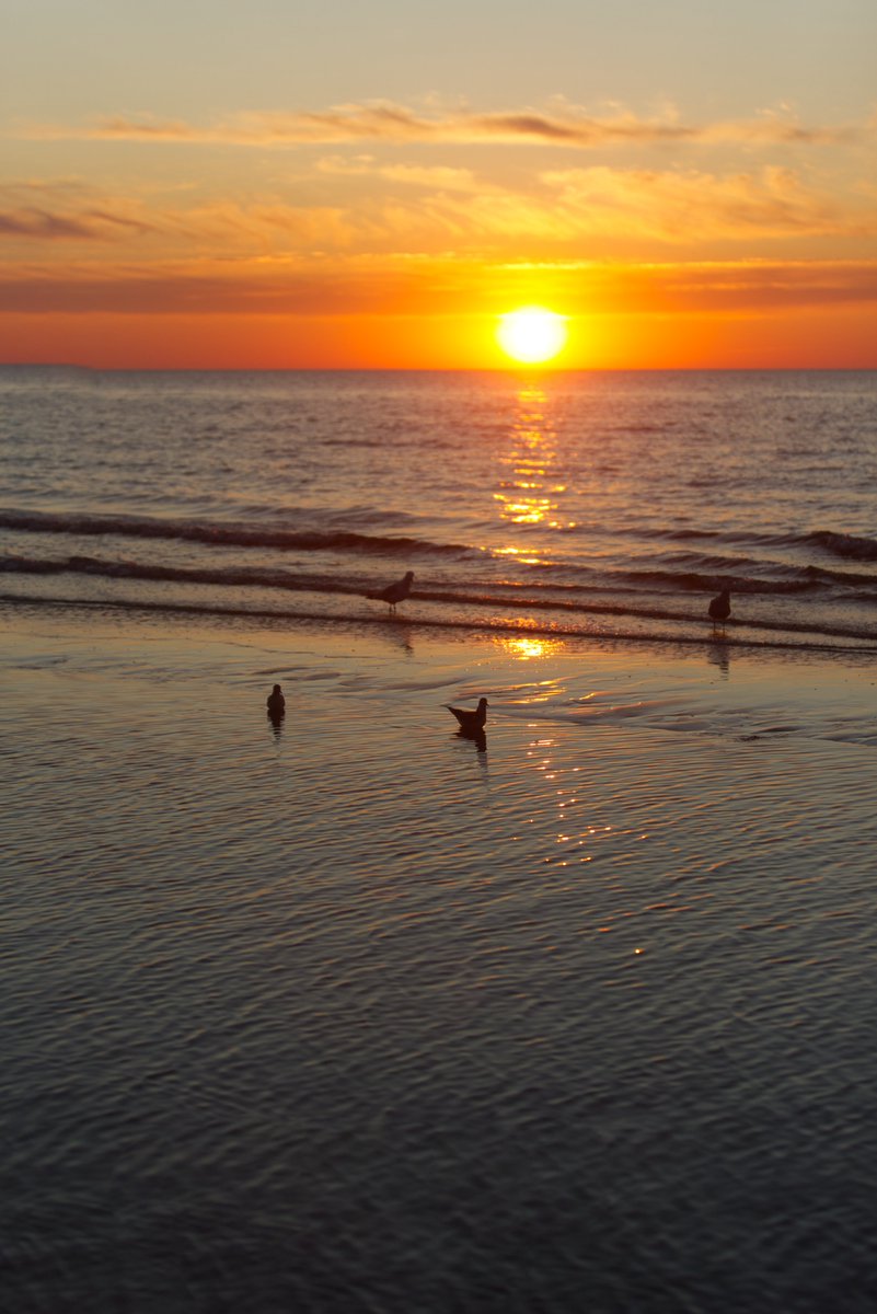 Sunset 😊
Baltic Sea                                                          
Latvia 🇱🇻 

#Sunset #BalticSea #Latvia