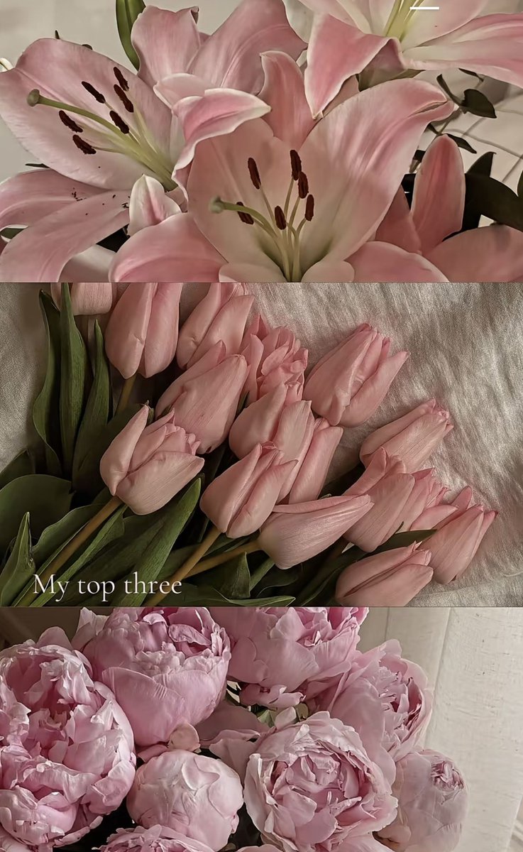 𝓐. (@silkvanille) on Twitter photo 