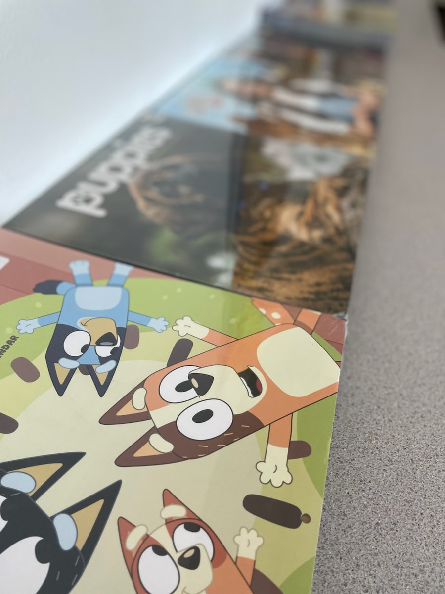 DelValleOC tweet media