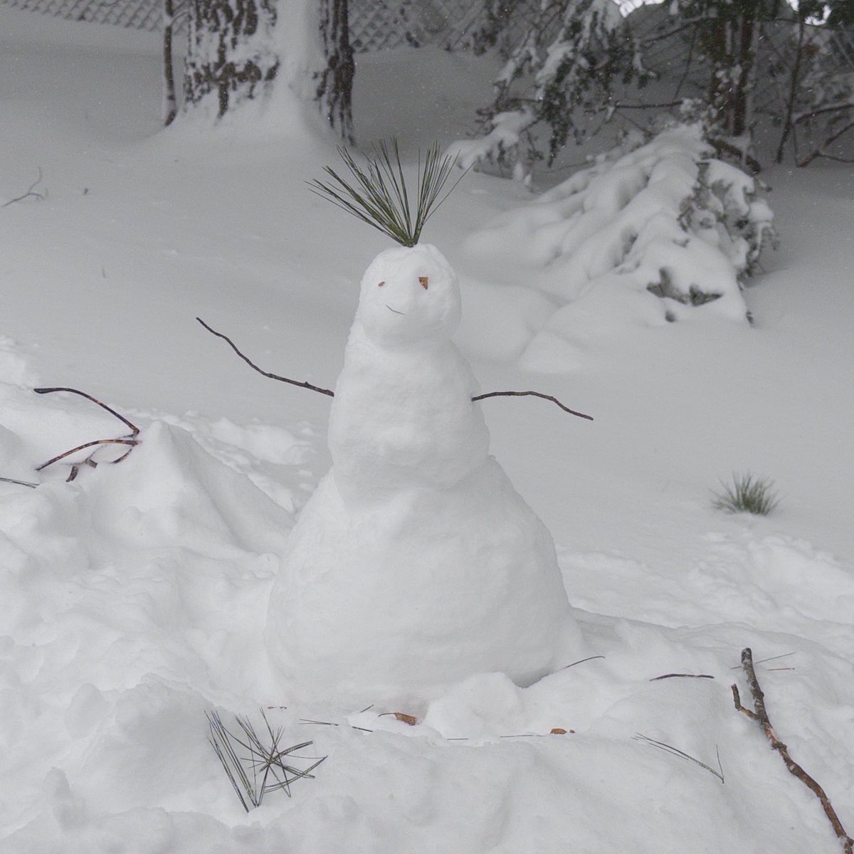 My first ever snowman in my first ever blizzard