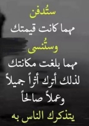 ⓢⓐⓔⓔⓓ 🔥 tweet media